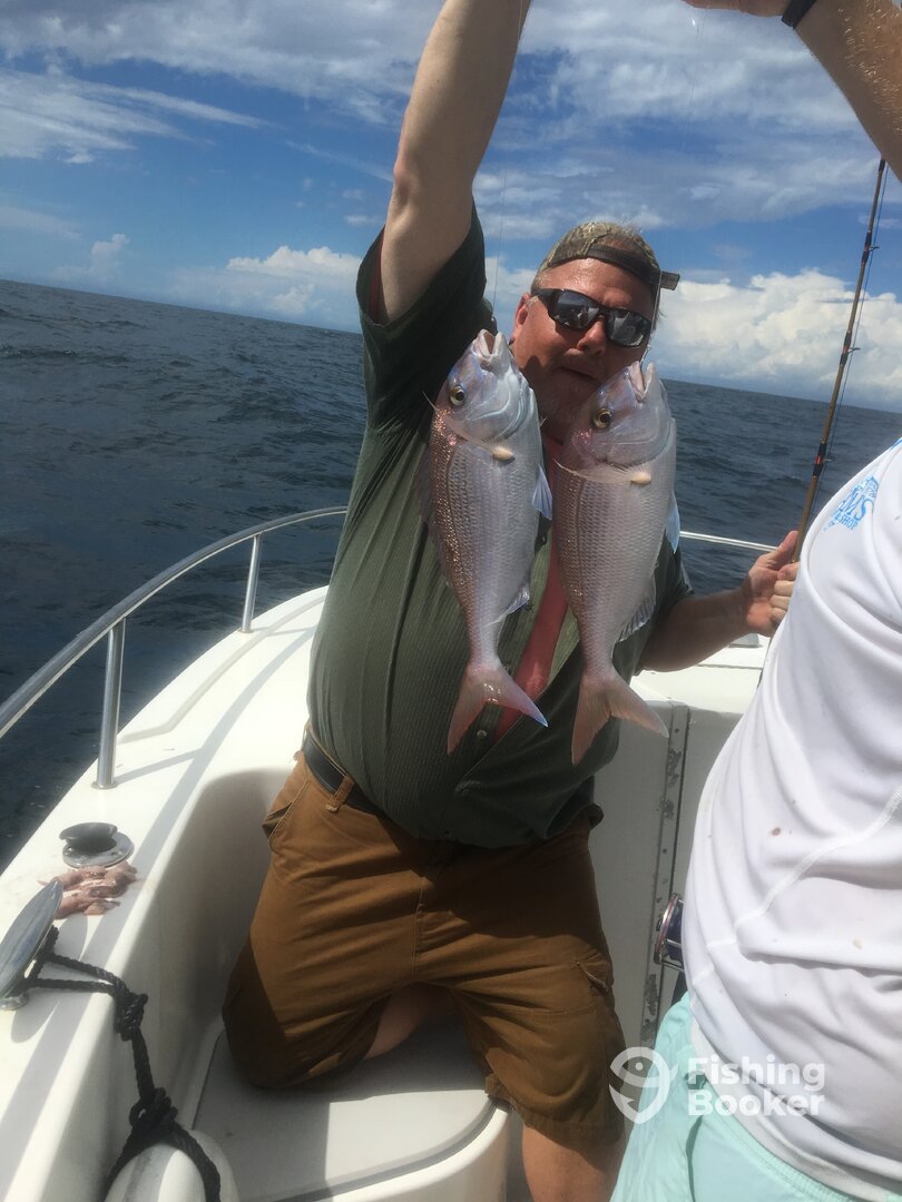 Orange Beach Report Photo 0