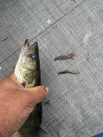 Breezy Point Report Photo 1