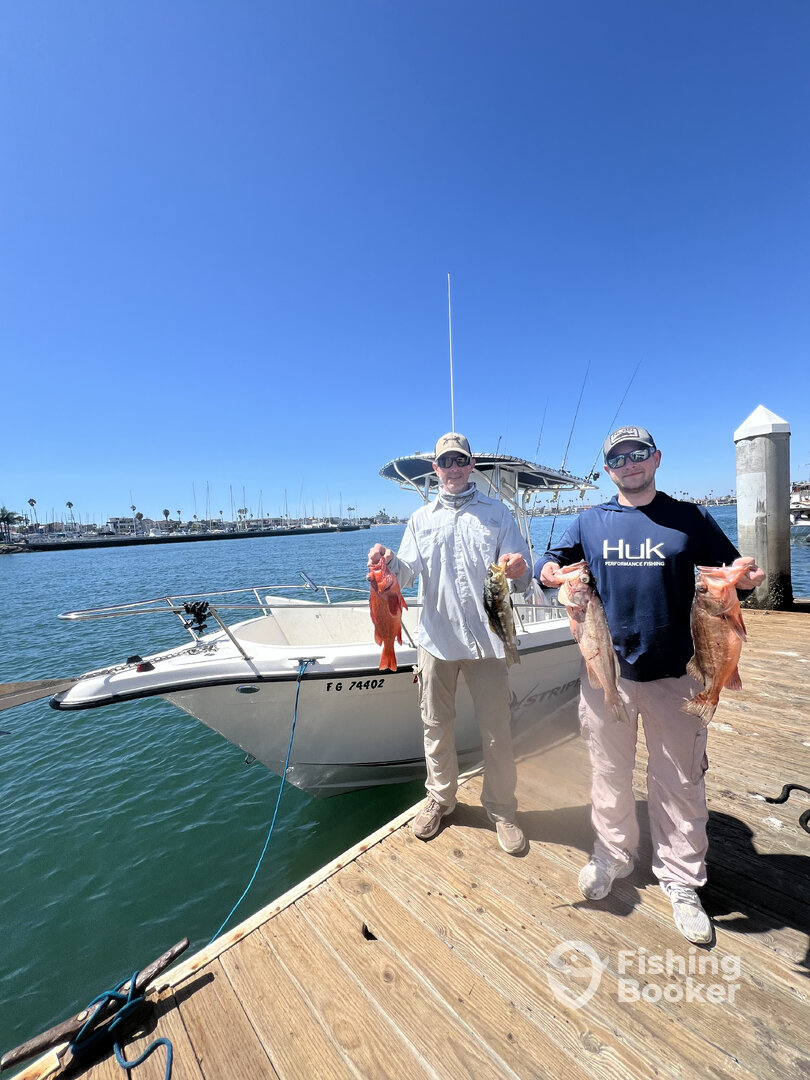 Alamitos Bay Report Photo 0