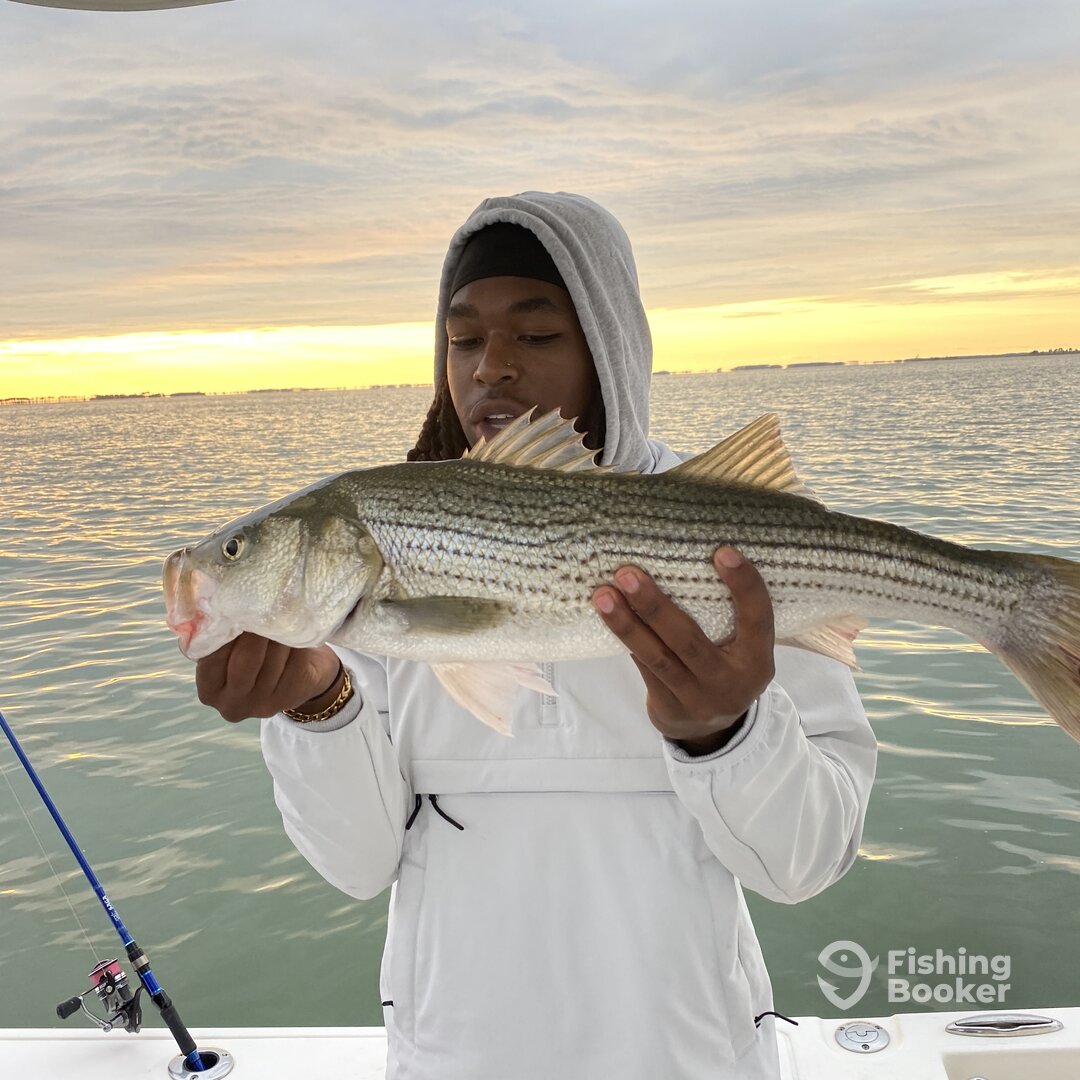 Nanticoke Report Photo 0