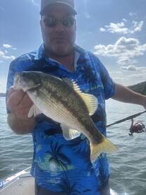 Branson Report Photo 2
