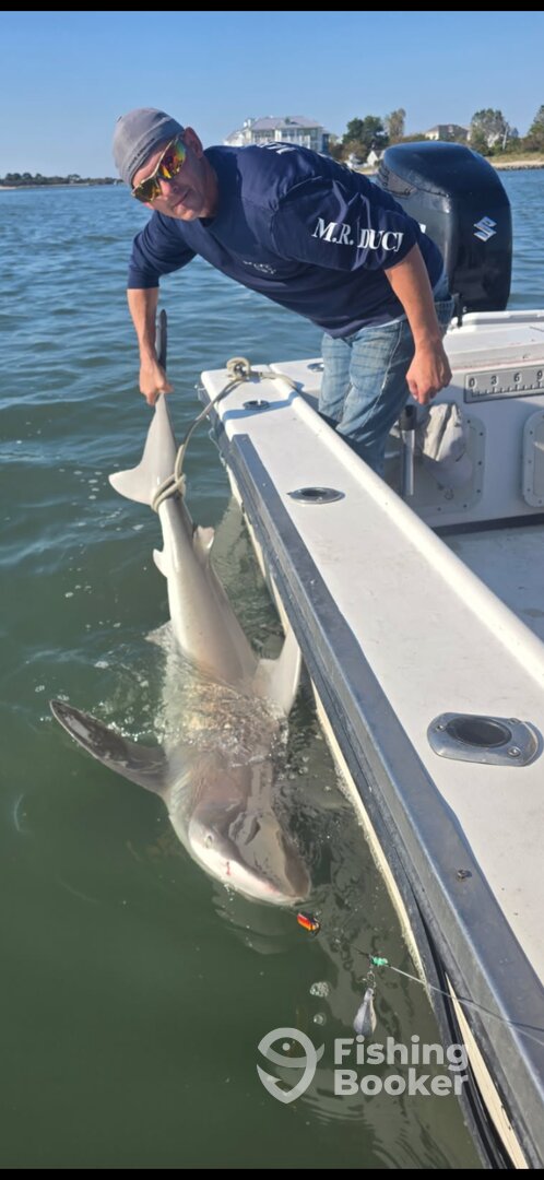 Ocean City Report Photo 0