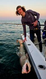 Ocean City Report Photo 2