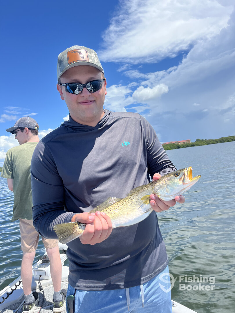 Tampa Report Photo 0