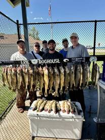 Fairview Report Photo 1