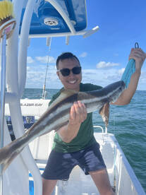 Cobia and grouper!