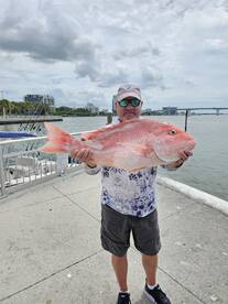 Pinellas County Report Photo 4