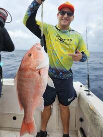 Pinellas County Report Photo 3