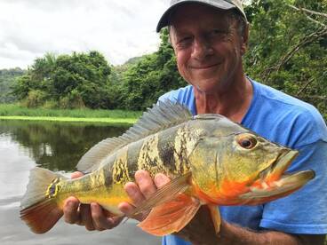 Peacock bass fishing