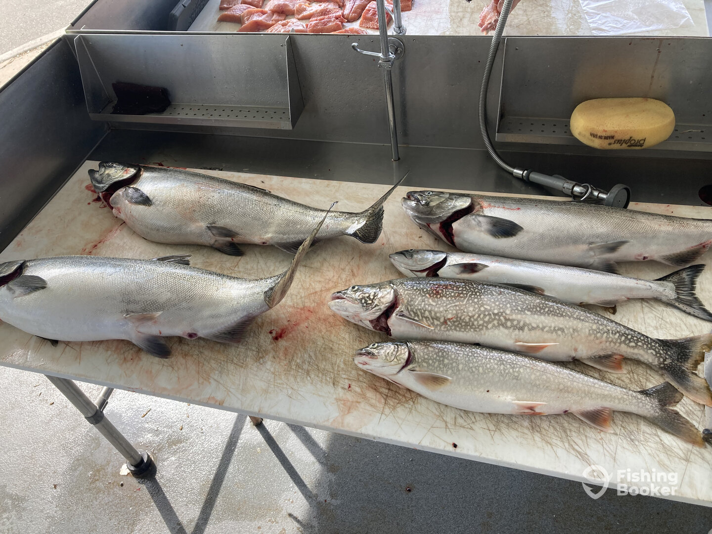 Traverse City Report Photo 0