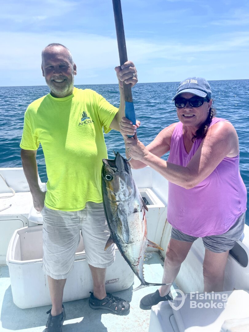 San Jose del Cabo Report Photo 0