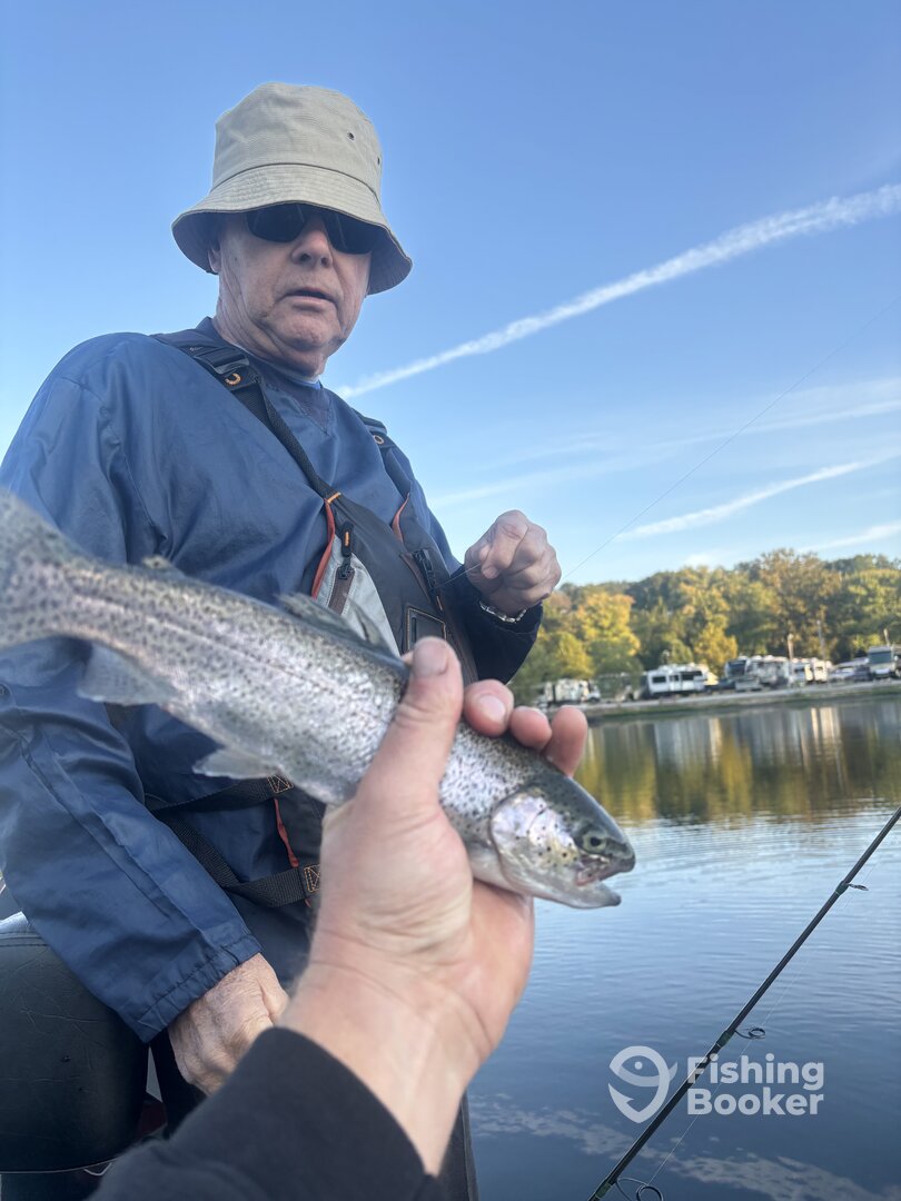 Branson Report Photo 0