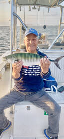 green bonito bite continues