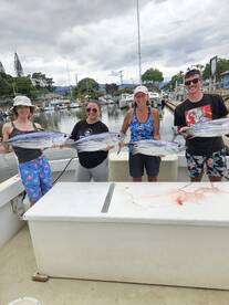 Skip jacks are biting like crazy!