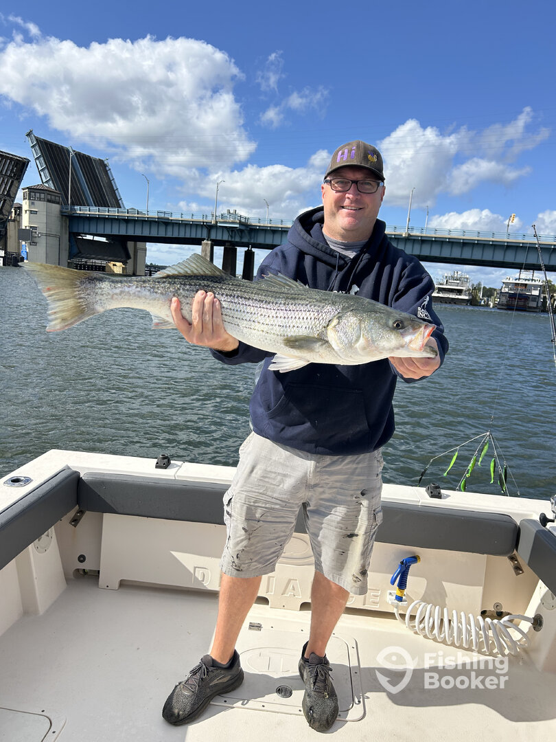 Brick Township Report Photo 0