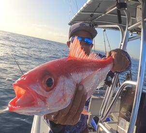 Deep drop!@Grillofishing