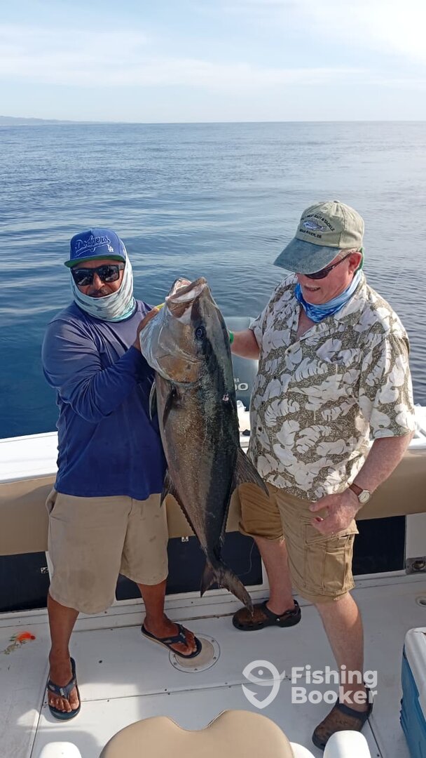 San Jose del Cabo Report Photo 0