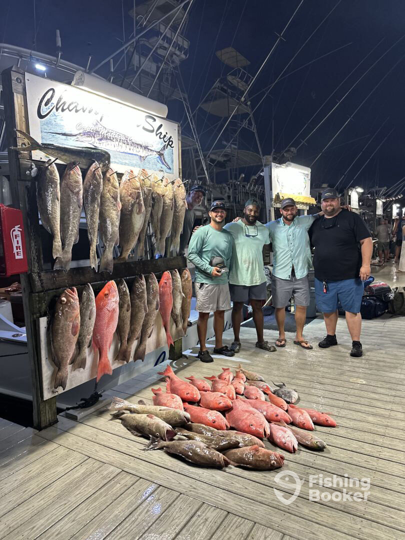 Harborwalk Marina Report Photo 0