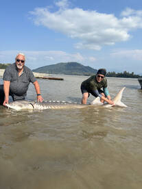 Lower Mainland Report Photo 1