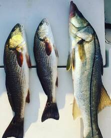 Florida is open for business!!!!