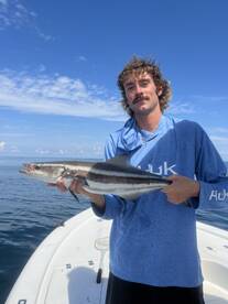 Cobia Action
