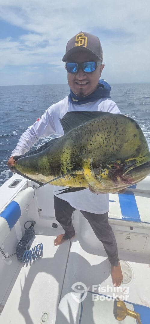 Panama Report Photo 0