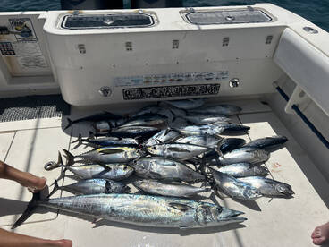Rincon Report Photo 3