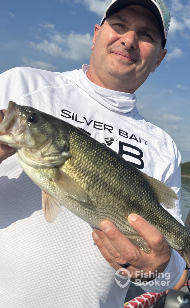 Branson Report Photo 0