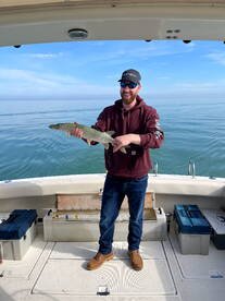St. Clair Shores Report Photo 1