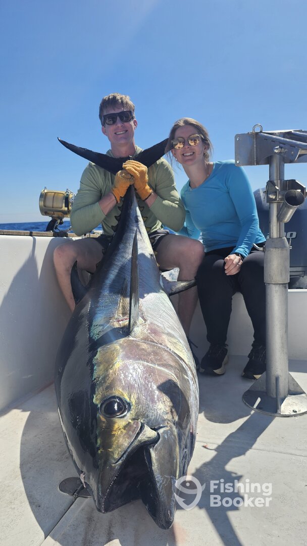 Ponta Delgada Report Photo 0