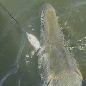 Lake Livingston Report Photo 2