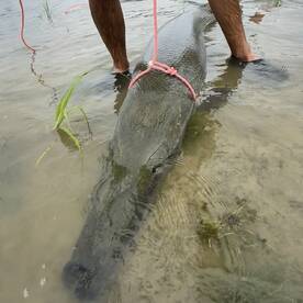 West Livingston Report Photo 2