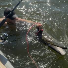 Lure bite has been on fire!