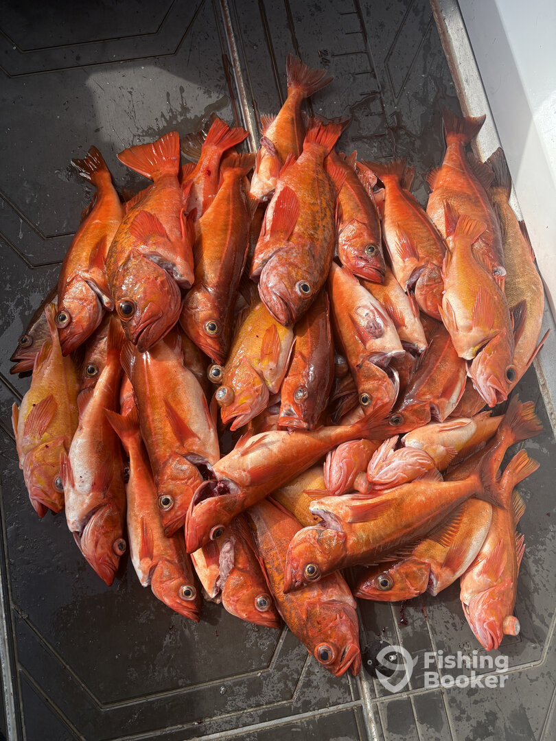 Monterey Bay Report Photo 0