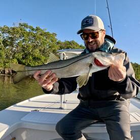 Pinellas County Report Photo 2