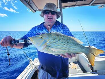 North Queensland Report Photo 2