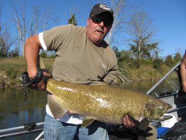 Can you say BIG FISH !