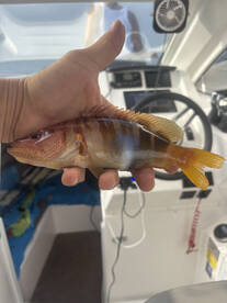 Deep fishing