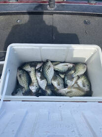 Kentucky Report Photo 3