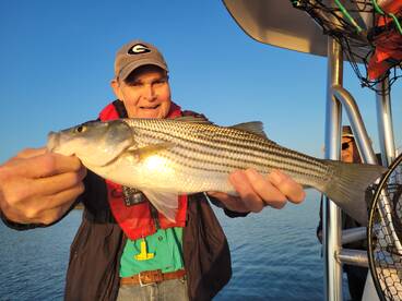 Gainesville Report Photo 2