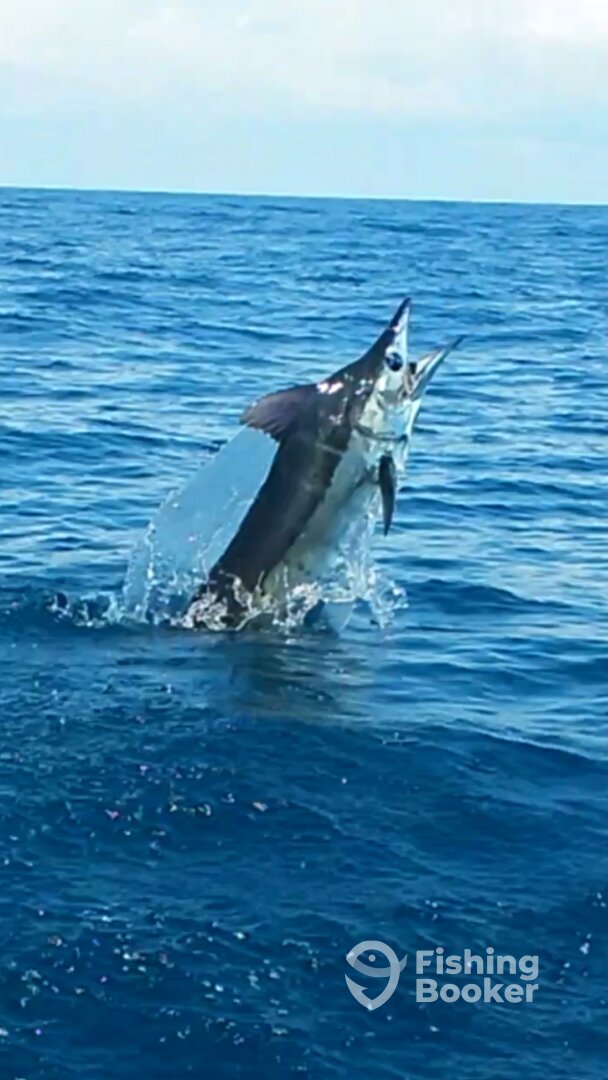 San Juan Report Photo 0