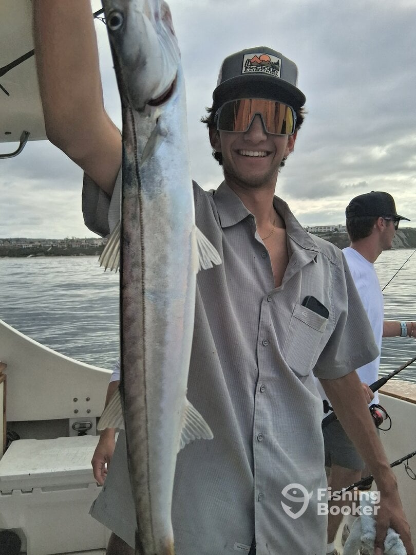 Dana Point Report Photo 0