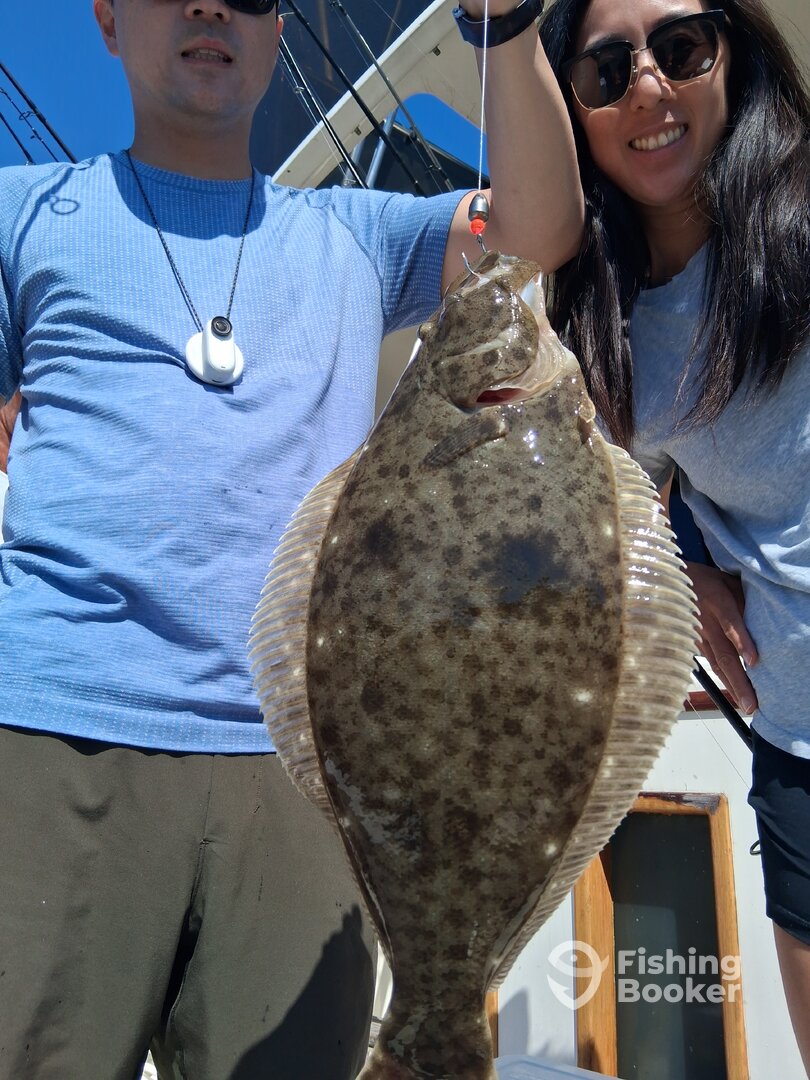 Dana Point Report Photo 0
