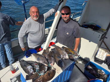Buzzards Bay Report Photo 1