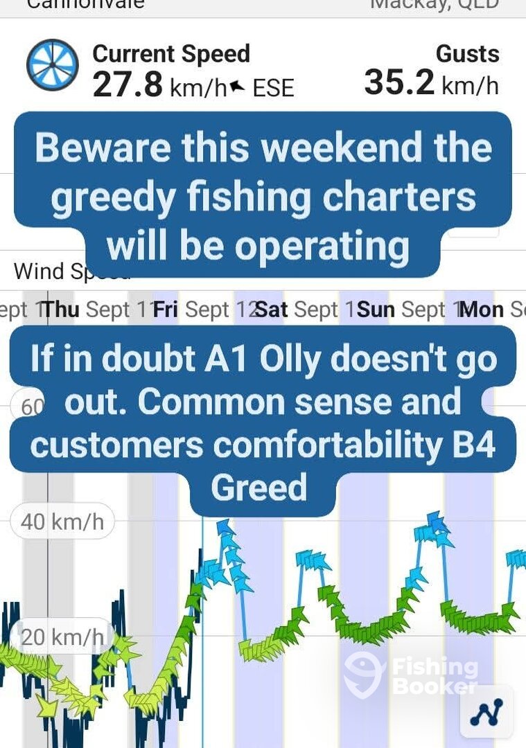 Airlie Beach Report Photo 0
