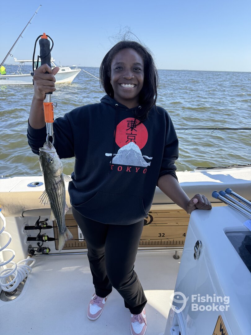 Chesapeake Bay Report Photo 0