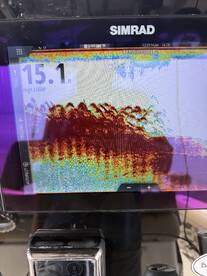 Chesapeake Bay Report Photo 1