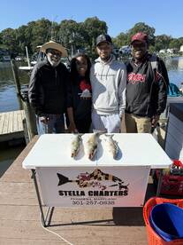 Chesapeake Bay Report Photo 2