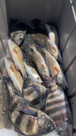 Fall is the best time of year