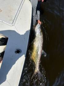 12/09/2025 midday action